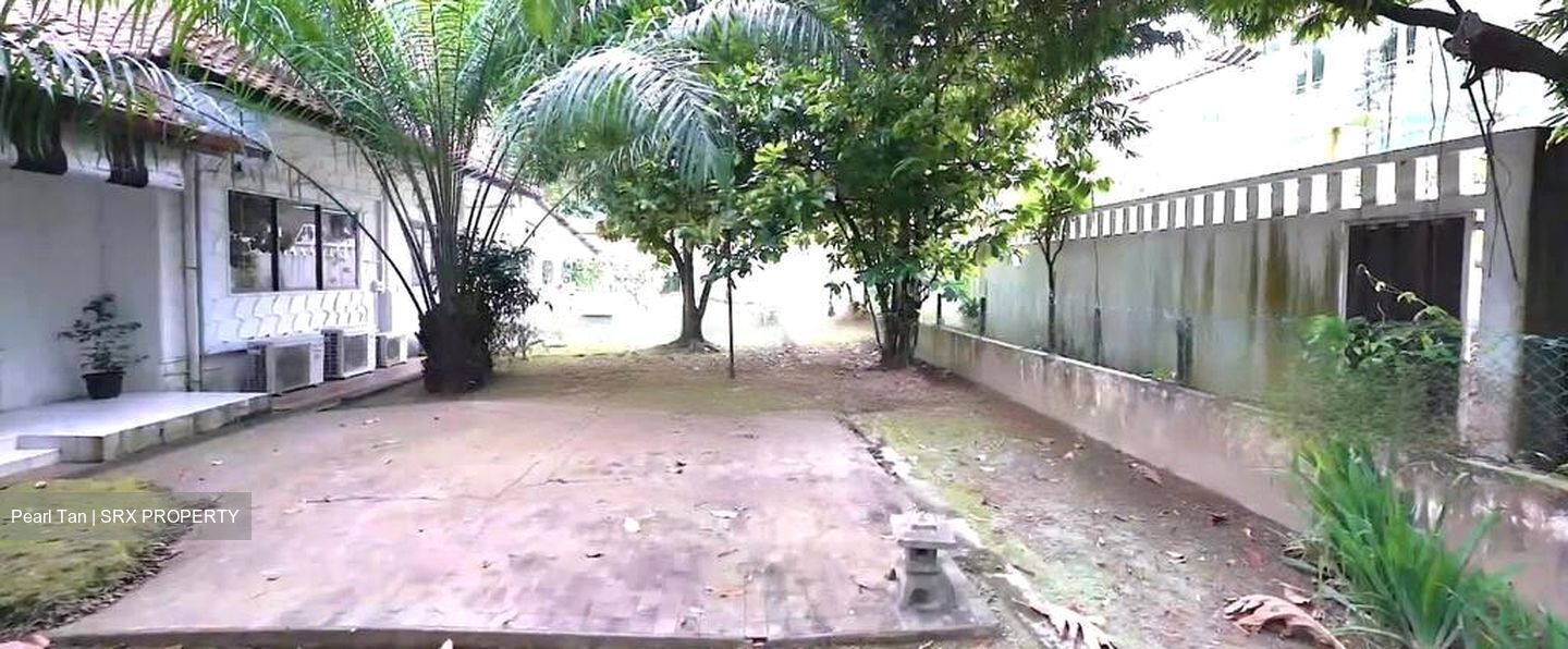 Leedon Park (D10), Detached #476707771
